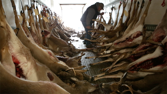 Something Other Than Its Own Mass